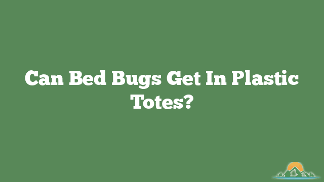 Can Bed Bugs Get In Plastic Totes?
