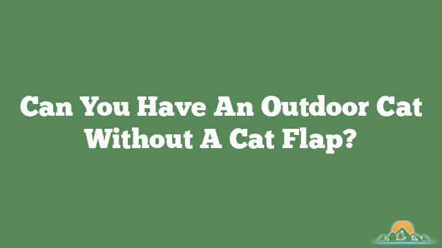 Can You Have An Outdoor Cat Without A Cat Flap?