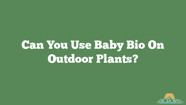 Can You Use Baby Bio On Outdoor Plants?