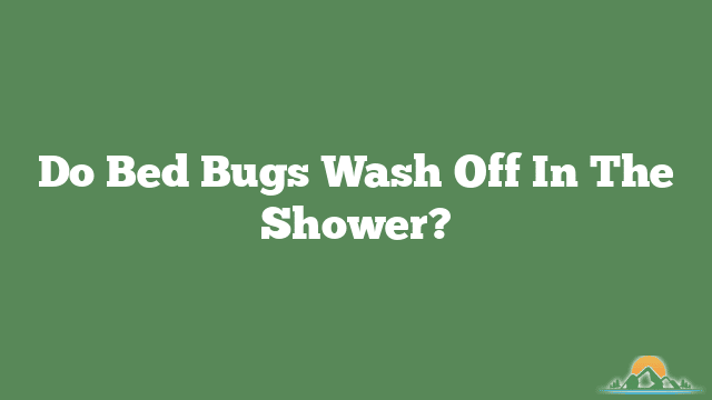 Do Bed Bugs Wash Off In The Shower?