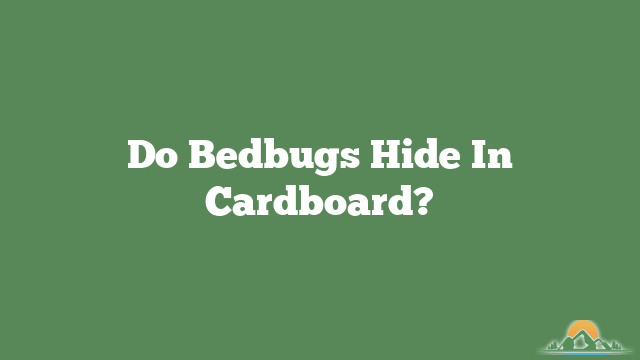 Do Bedbugs Hide In Cardboard?