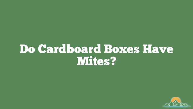 Do Cardboard Boxes Have Mites?
