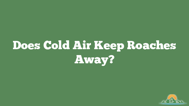 Does Cold Air Keep Roaches Away?