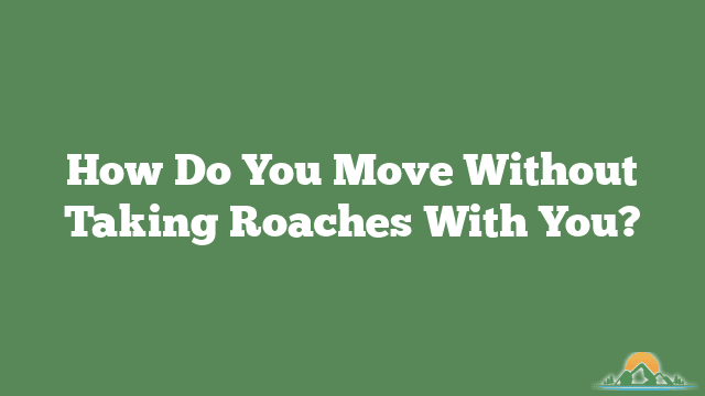 How Do You Move Without Taking Roaches With You?