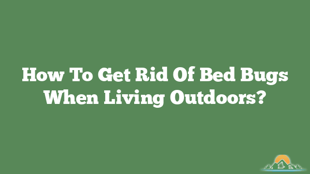 How To Get Rid Of Bed Bugs When Living Outdoors?