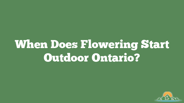 When Does Flowering Start Outdoor Ontario?