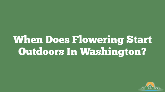 When Does Flowering Start Outdoors In Washington?