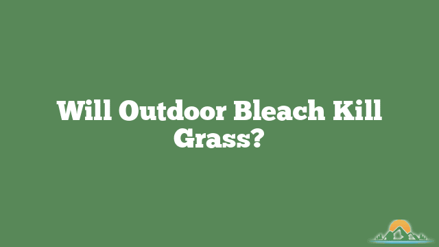 Will Outdoor Bleach Kill Grass?