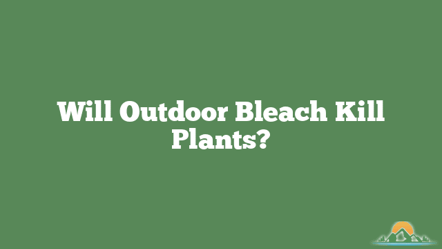 Will Outdoor Bleach Kill Plants?