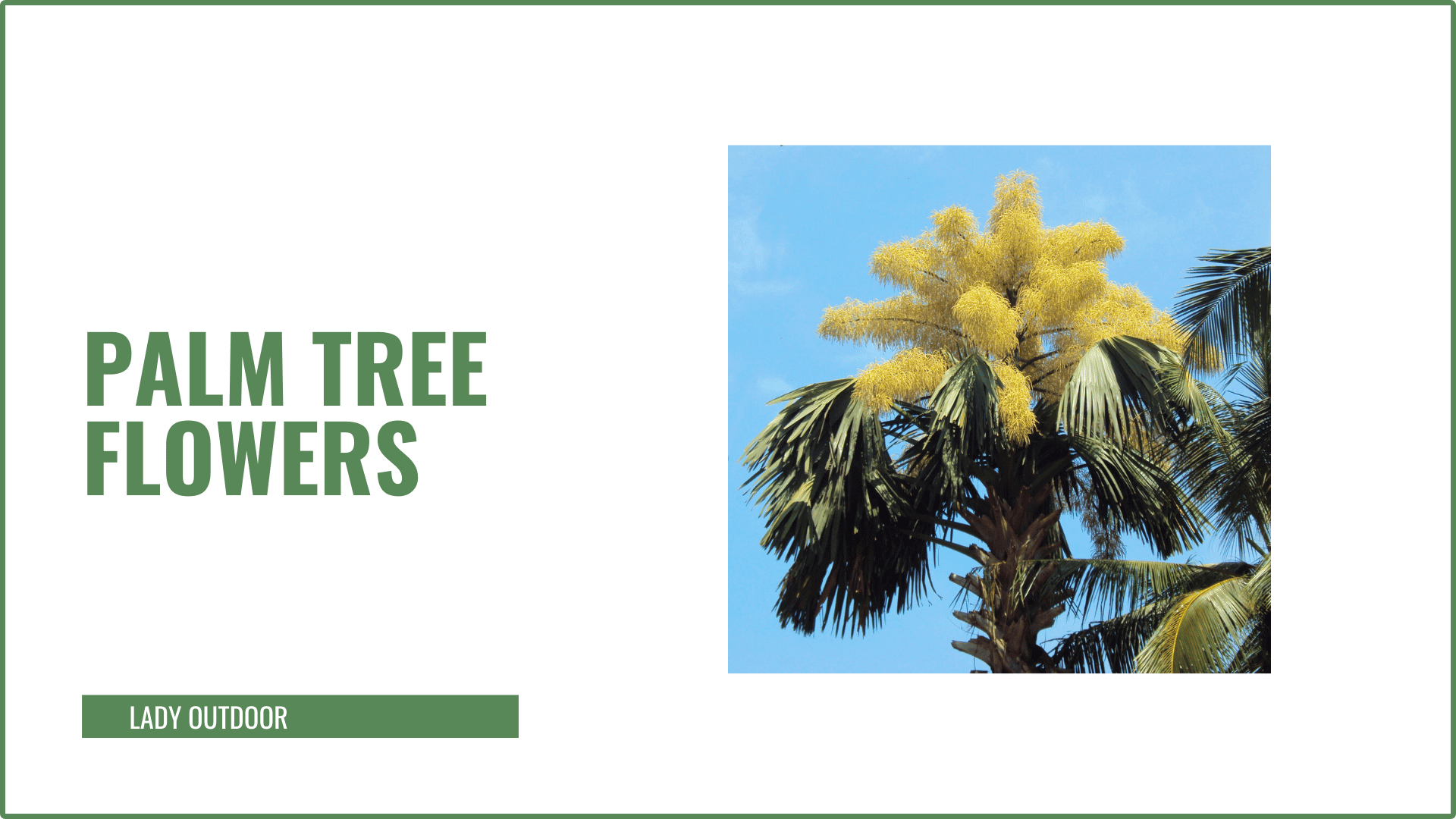 palm tree flowers in green text on white background